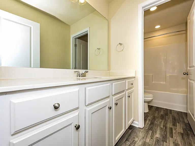291 Hamilton Pointe Dr — Photo 19