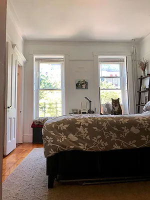 Rented by Halstead Real Estate | media 66