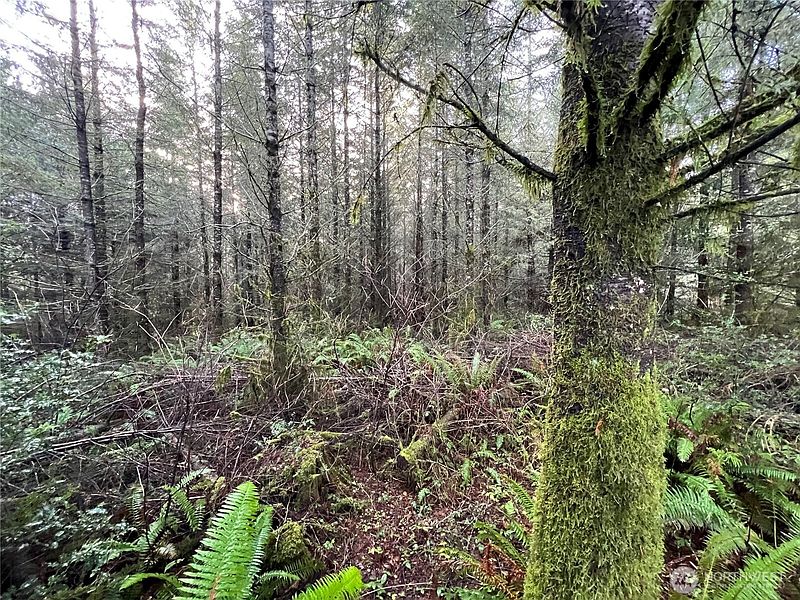 5th image of 1 xxx Snow Creek Road