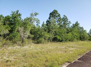 Keesler Ln LOT 1, Chipley, FL 32428
