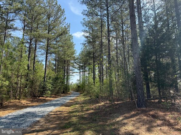 1 Covered Bridge Rd, Kents Store, VA 23084