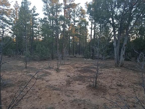 5th image of 6650 Bandido Way