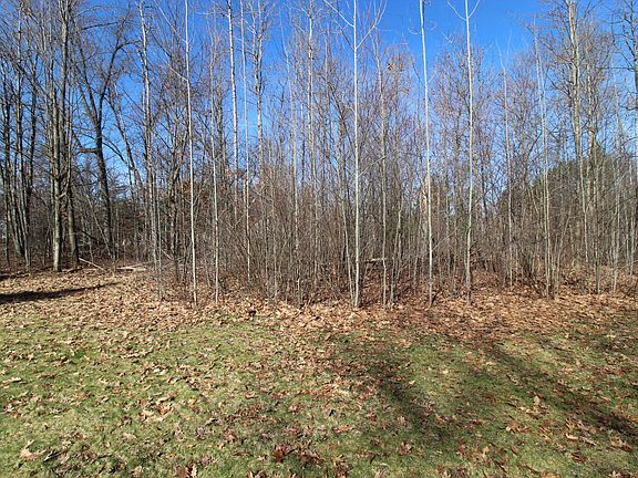 3rd image of 305 Autumn Ln