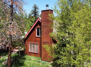 225 W Breed St, Nederland, CO 80466