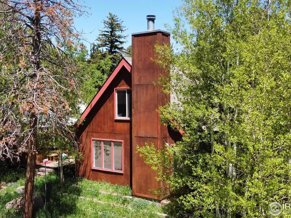 225 W Breed St, Nederland, CO 80466
