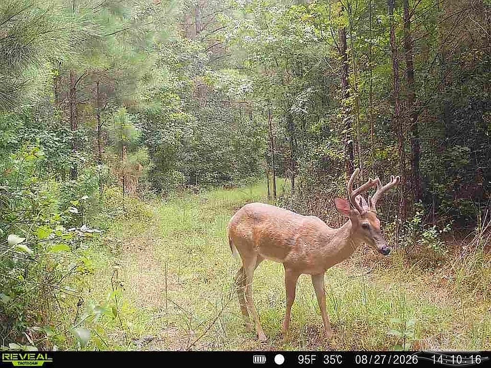 1st image of Snider St