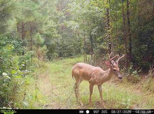 Snider St, Frisco City, AL 36445