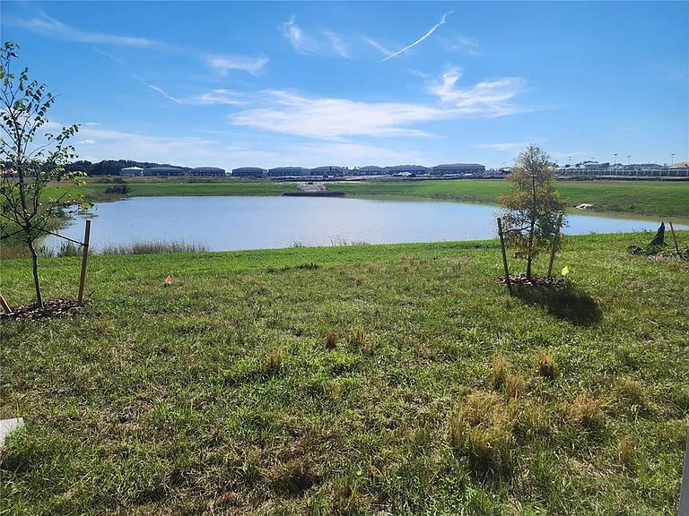 32118 Pond Apple Bnd — Photo 22