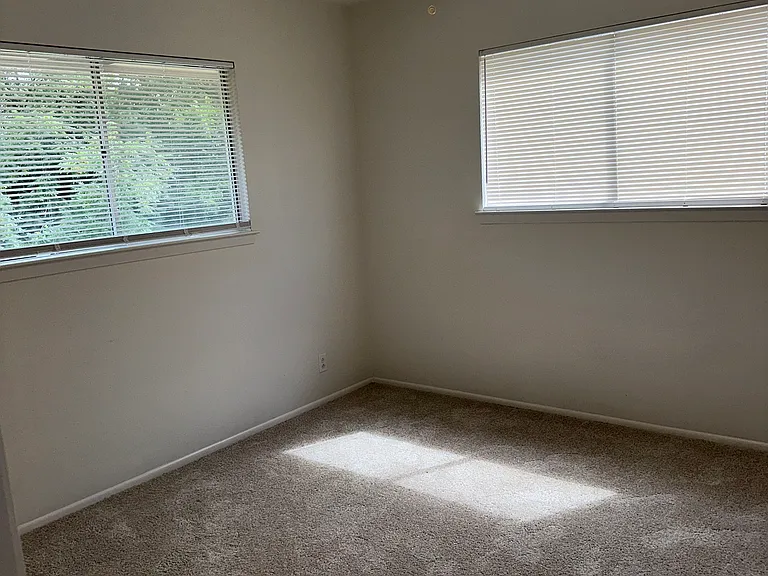8807 Angel Valley St — Photo 14