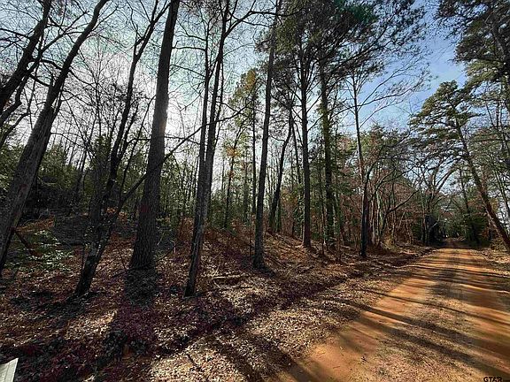 3rd image of County Road 2733
