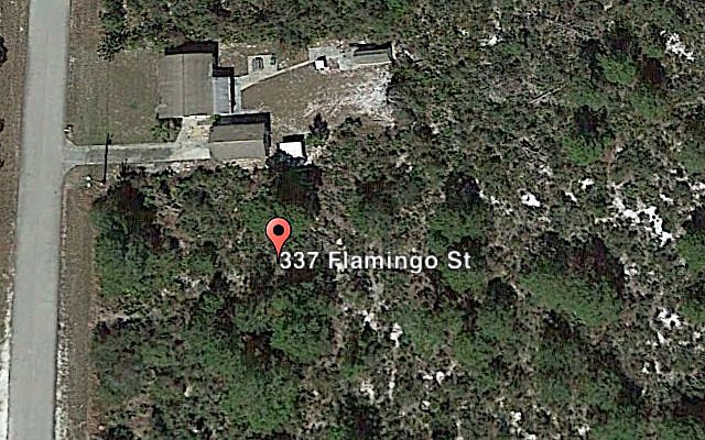 1st image of 337 Flamingo St