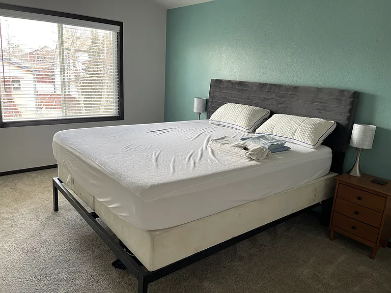 2512 Anemonie Dr — Photo 10