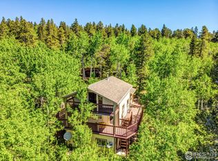 298 Evergreen Way, Nederland, CO 80466