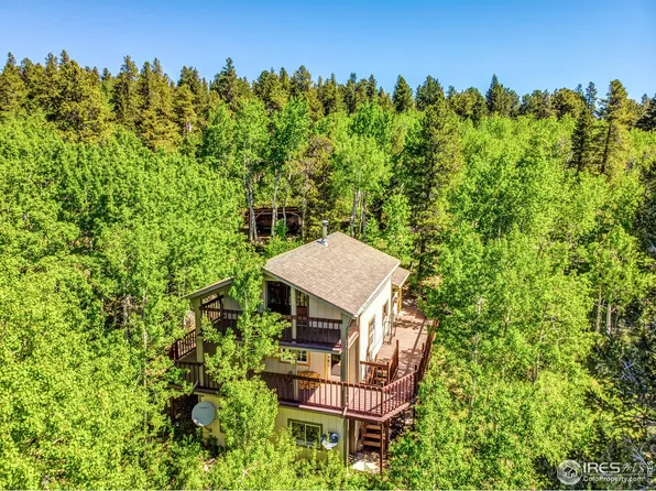 298 Evergreen Way, Nederland, CO 80466