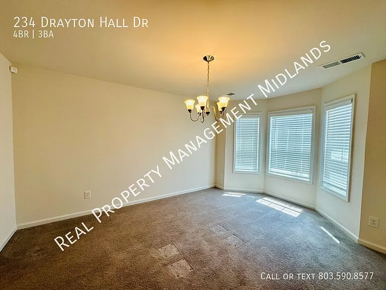 234 Drayton Hall Dr — Photo 13