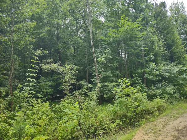 Morgan Branch Ln, Chuckey, TN 37641