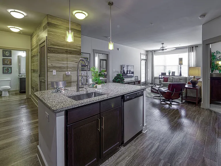 Open Concept Living and Kitchen Area