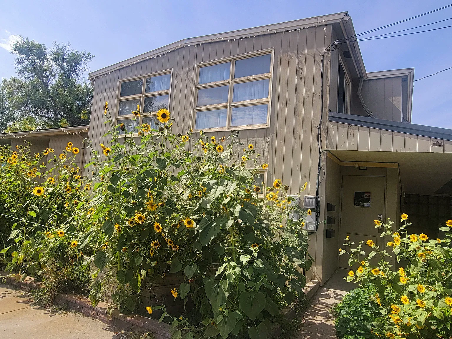 2 bed, 800 sqft, $1,200 — Photo 3