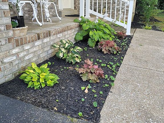 3rd image of 2819 Edward Dr
