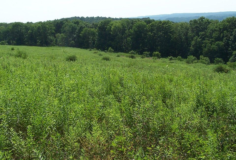 2nd image of Municipal Rd