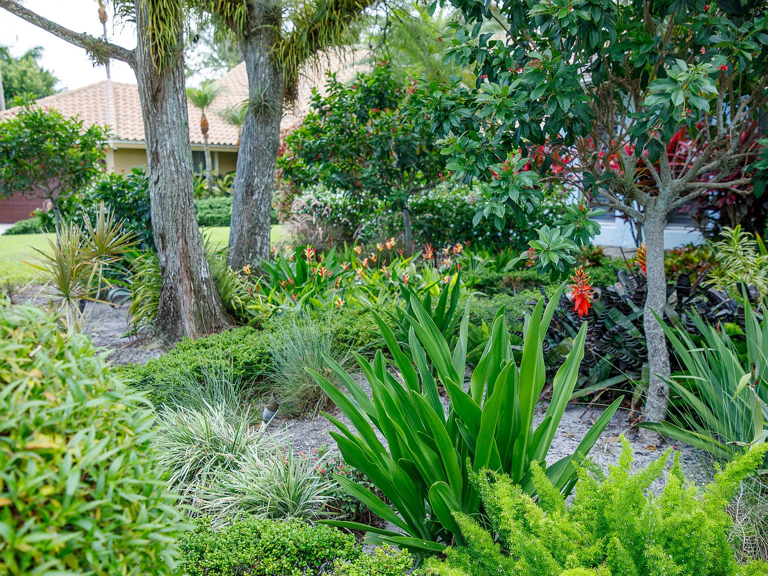 3 bed, 2.0 bath, 2174 sqft, $5,500 — Photo 3