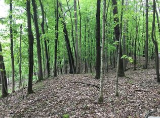 Birch Rd, Copake, NY 12516