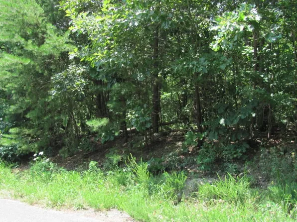 65 S Forest Rd, Chickamauga, GA 30707
