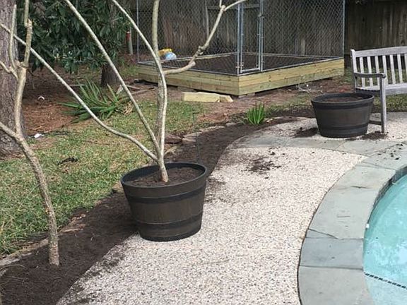 Raised garden out back