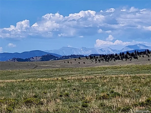 9561 Jackson Road LOT 09, Hartsel, CO 80449
