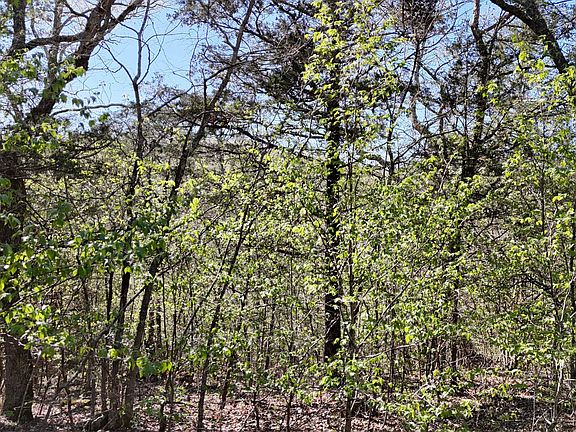 2nd image of Lot #94 Gumbo Woods