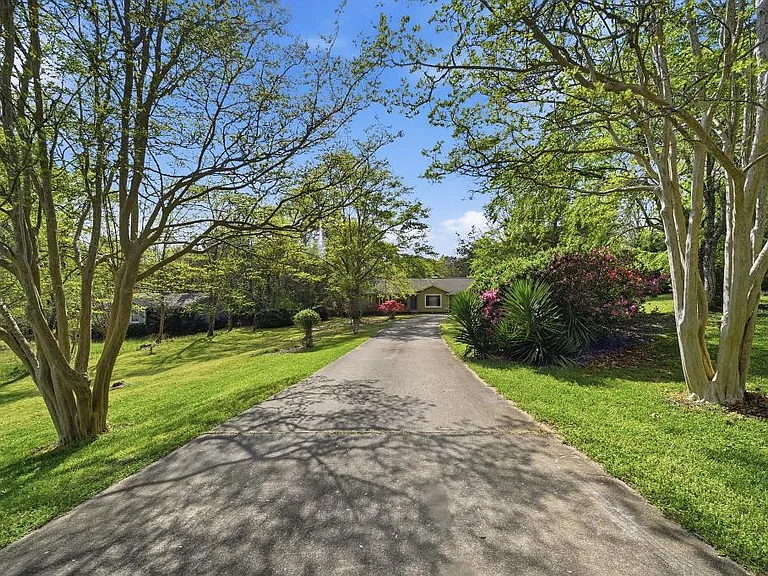 729 Alpine Dr — Photo 4