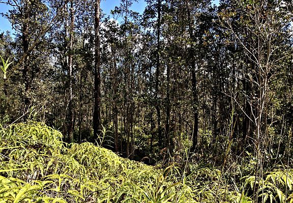 3rd image of Road 5 Lot 4002