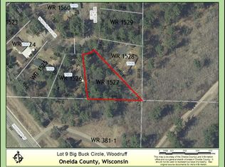 9 E Big Buck Cir, Woodruff, WI 54568