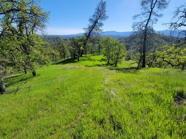 207 Fiddlers Ln, Igo, CA 96047