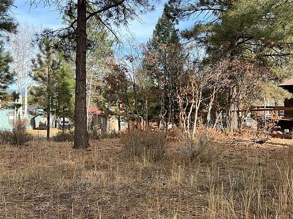 3rd image of 174 Canyon Circle