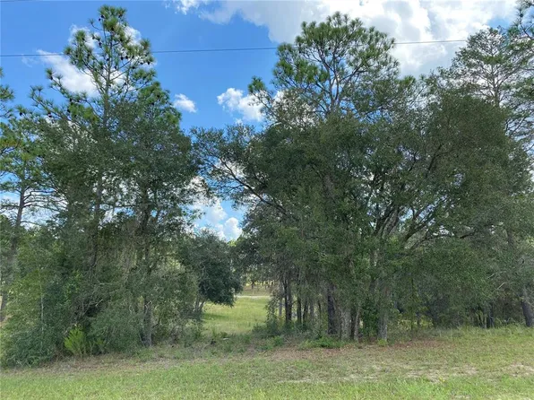 0 SE 150th Ave, Morriston, FL 32668