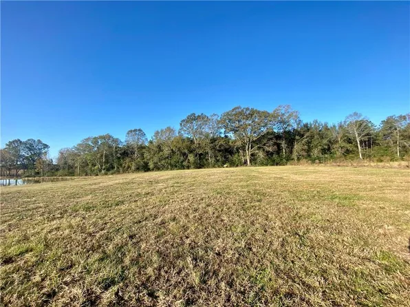 40625 Burton Ln, Franklinton, LA 70438