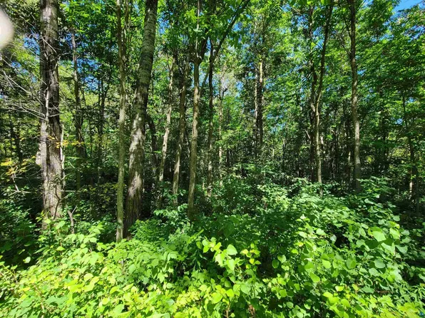 Xx 9th St, Proctor, MN 55810