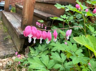 468 R E Cards Hill Ln, Amissville, VA 20106