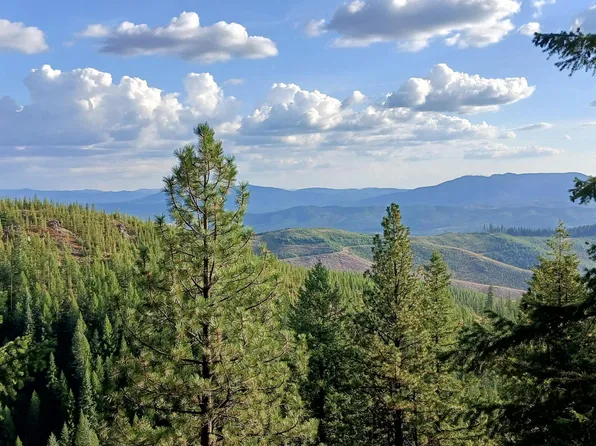 1425 Upriver View Dr, Fernwood, ID 83830