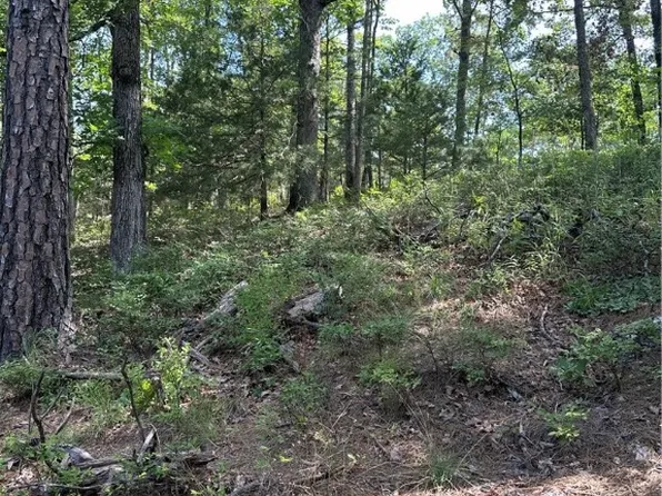 205 Cr, Eureka Springs, AR 72632