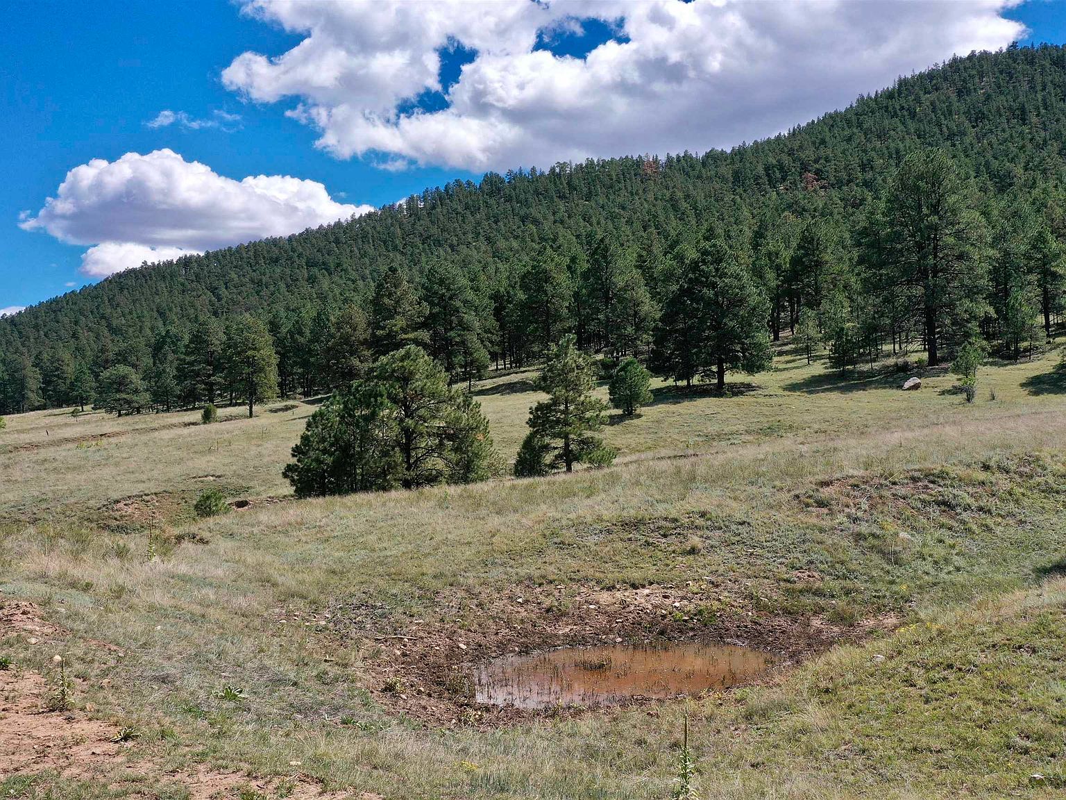 Highway 94 Mora, Mora, NM 87732 MLS 110862 Zillow