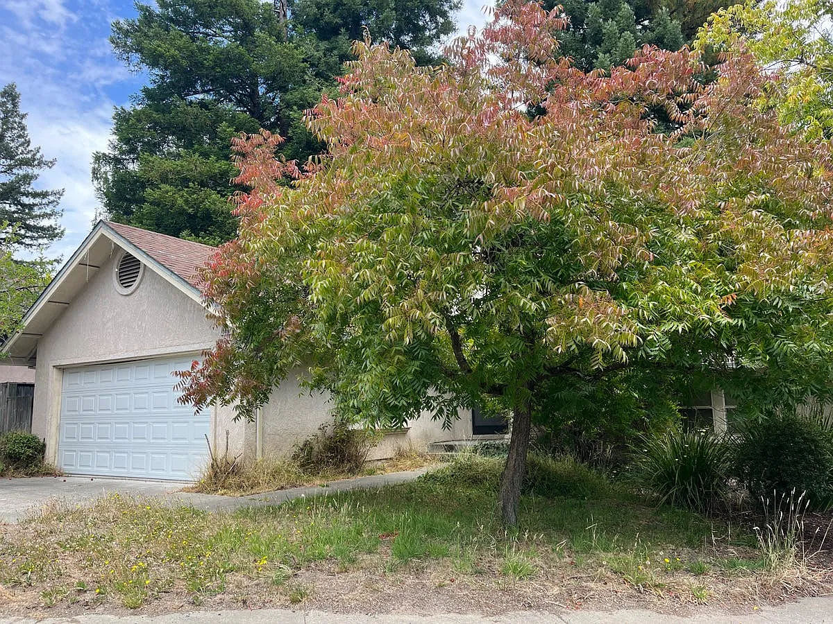 109 Forno Way - Photo 2
