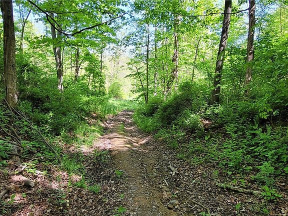 2nd image of 72577 Old Twenty One Rd