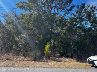 2293 Marietta Ave, Spring Hill, FL 34608