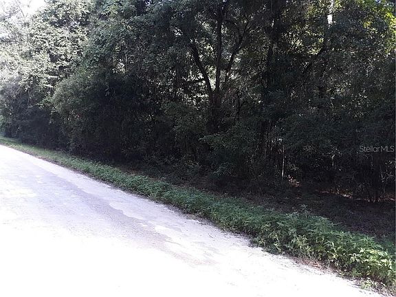 4th image of SW Alabama Gln Lot 6