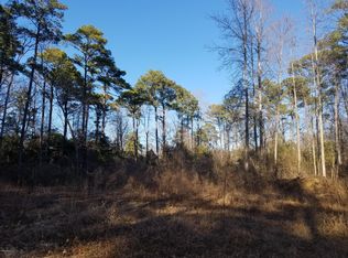 0 Portertown Rd, Greenville, NC 27858