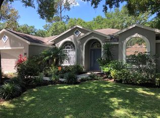 3739 Hollow Wood Dr, Valrico, FL 33596