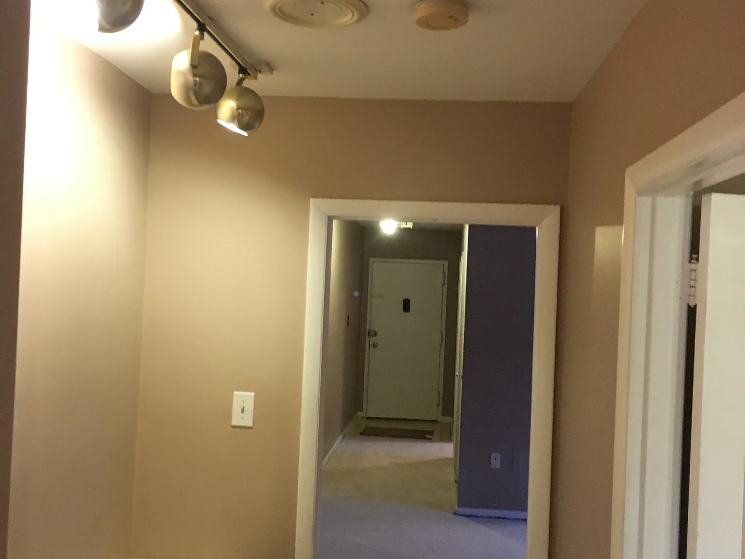 1 bed, 800 sqft, $1,860 — Photo 3
