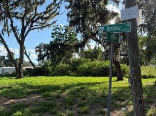 9323 RIPLEY ROAD LOT 1, THONOTOSASSA, FL 33592